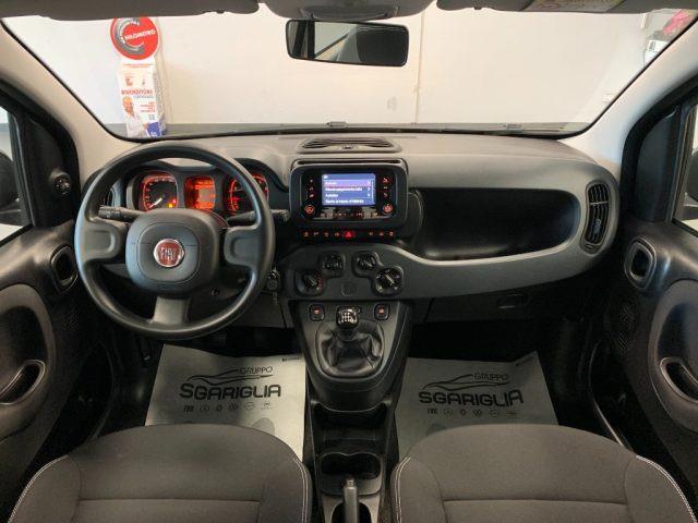 FIAT Panda 1.0 Benzina Hybrid City Life