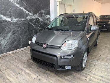 Fiat Panda 1.0 FireFly S&S Hybrid AZIENDALE KM 0 POSTI 5