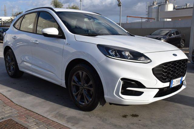 FORD Kuga 1.5 EcoBlue 120 CV aut. 2WD ST-Line