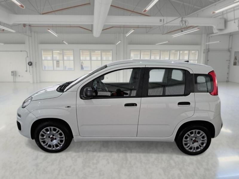 FIAT PANDA 1.2 69 CV SES E6D-TEMP EASY 5 PORTE BERLINA