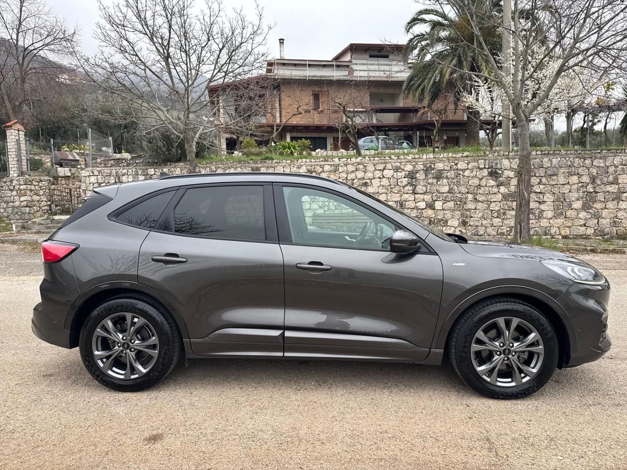 Ford Kuga 1.5 EcoBlue 120 CV aut. 2WD ST-Line