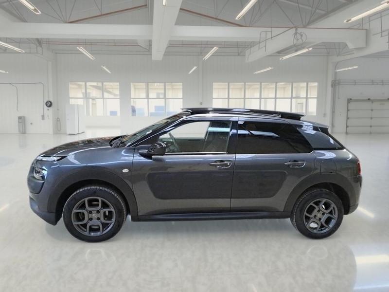CITROEN C4 CACTUS BlueHDi 100 Shine