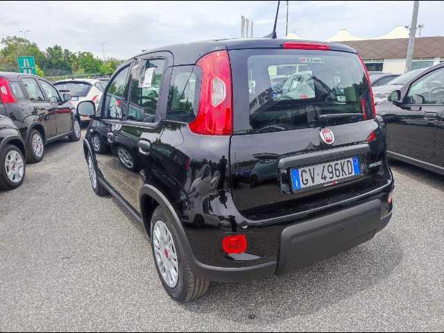 FIAT Panda 1.0 firefly hybrid s&s 70cv