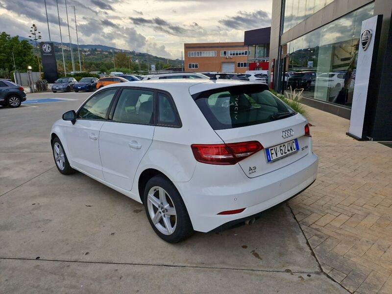 Audi A3 III 2016 Sportback Sportback 30 1.6 tdi Business 116cv my19