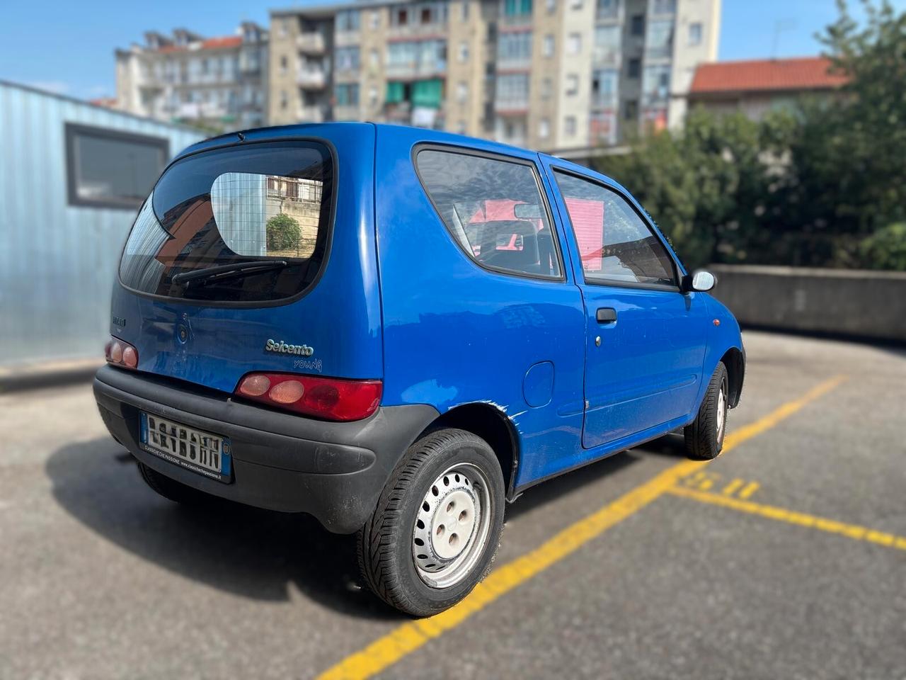 Fiat Seicento 900i cat Young