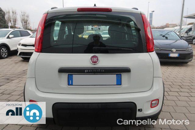 FIAT Panda Panda 1.0 70cv Hybrid City Life