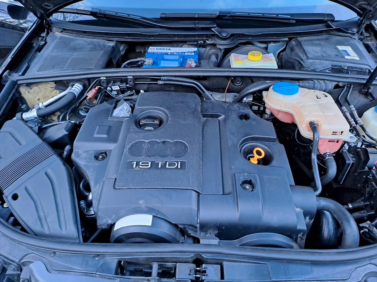 Audi A4 1.9 TDI 116 CV Ambiente