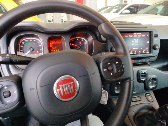 FIAT Panda Cross 1.0 FireFly S&S Hybrid