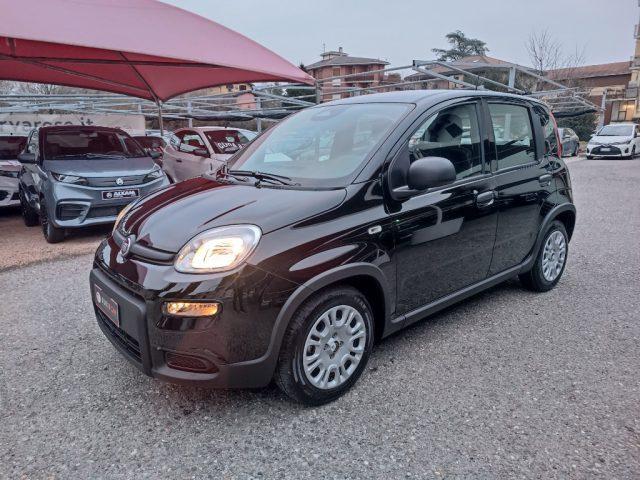 FIAT Panda 1.0 FireFly S&S Hybrid Pandina