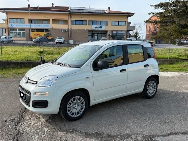 Fiat Panda aziendale iva esposta