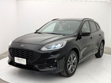 FORD Kuga 3ª serie - Kuga 1.5 EcoBlue 120 CV aut. 2WD ST-Line