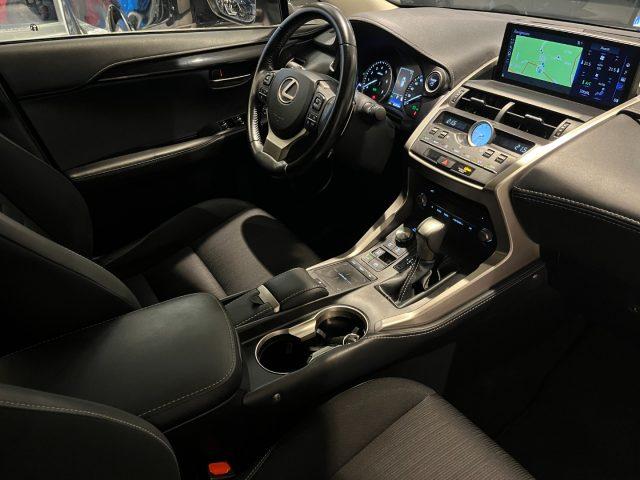 LEXUS NX 300 HYBRID 4WD BUSINESS 155CV