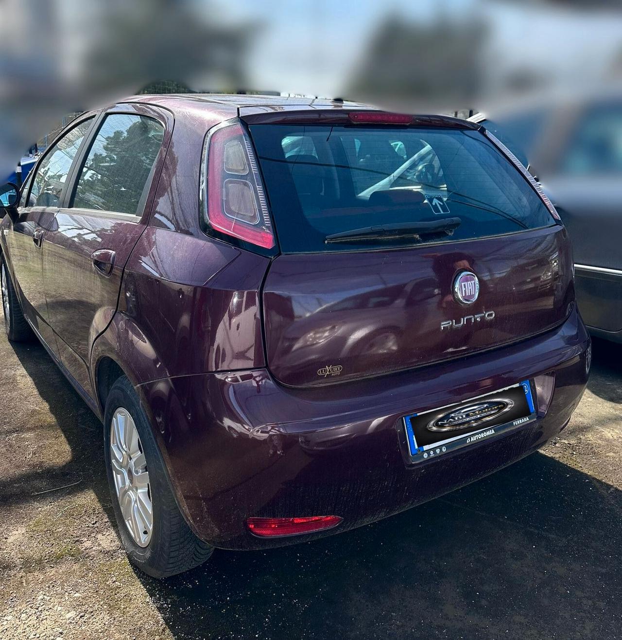 Fiat Punto Evo 1.3 Multijet -NEOPATENTATI-
