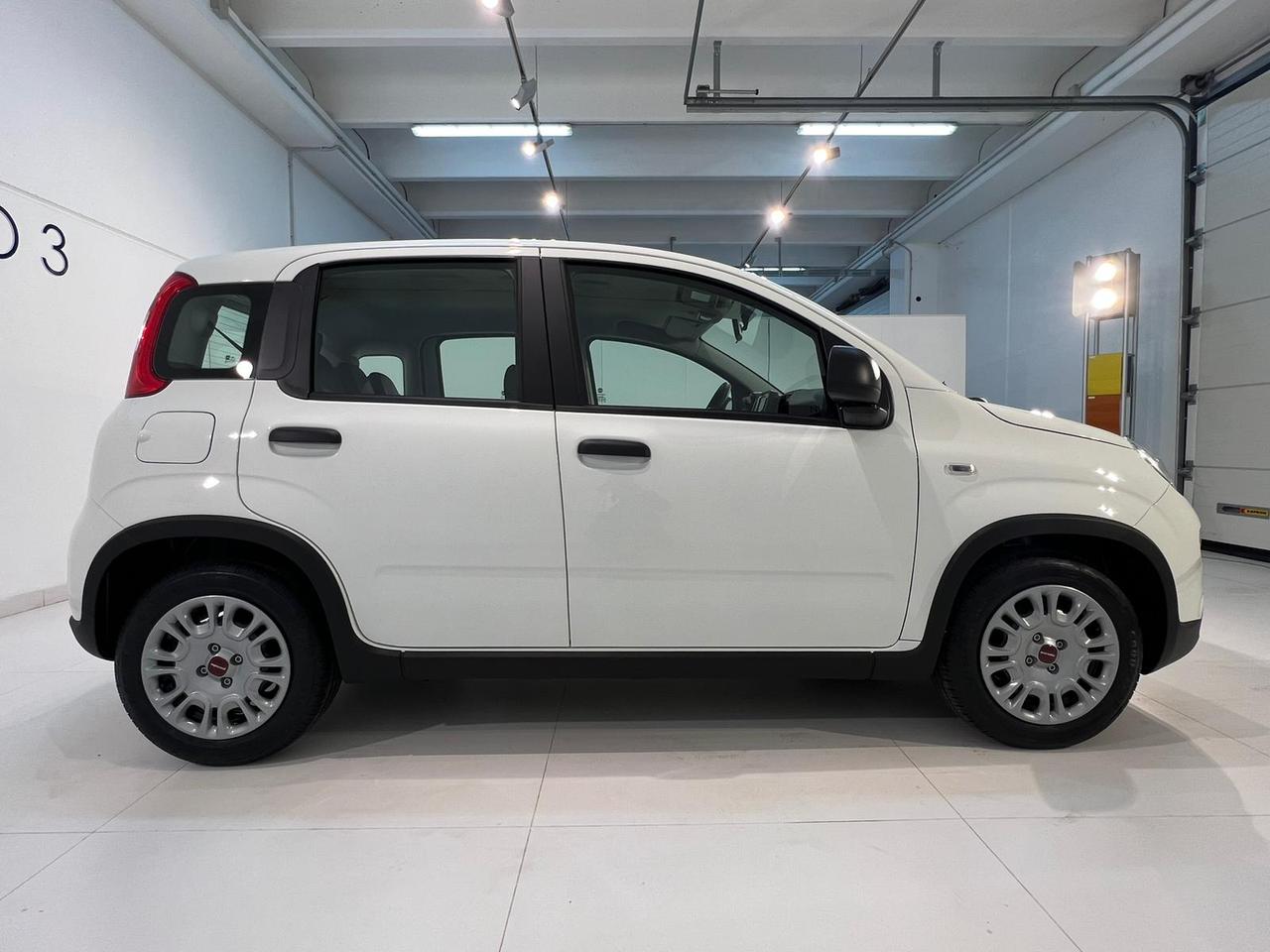 Fiat Panda 1.0 FireFly S&S Hybrid Panda