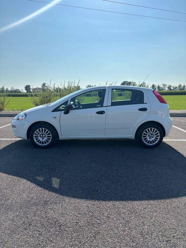 FIAT Punto Punto 1.4 8V 5 porte Easypower Street