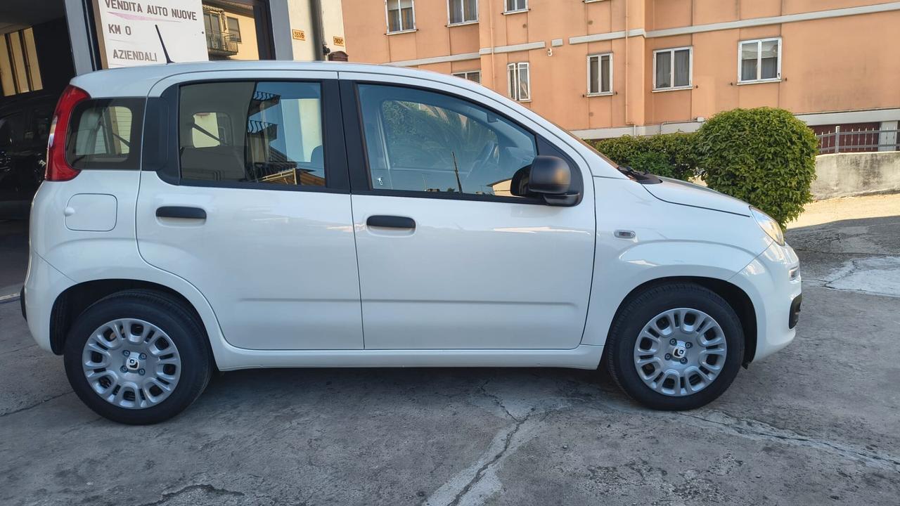 Fiat Panda 1.0 FireFly S&S Hybrid Pandina