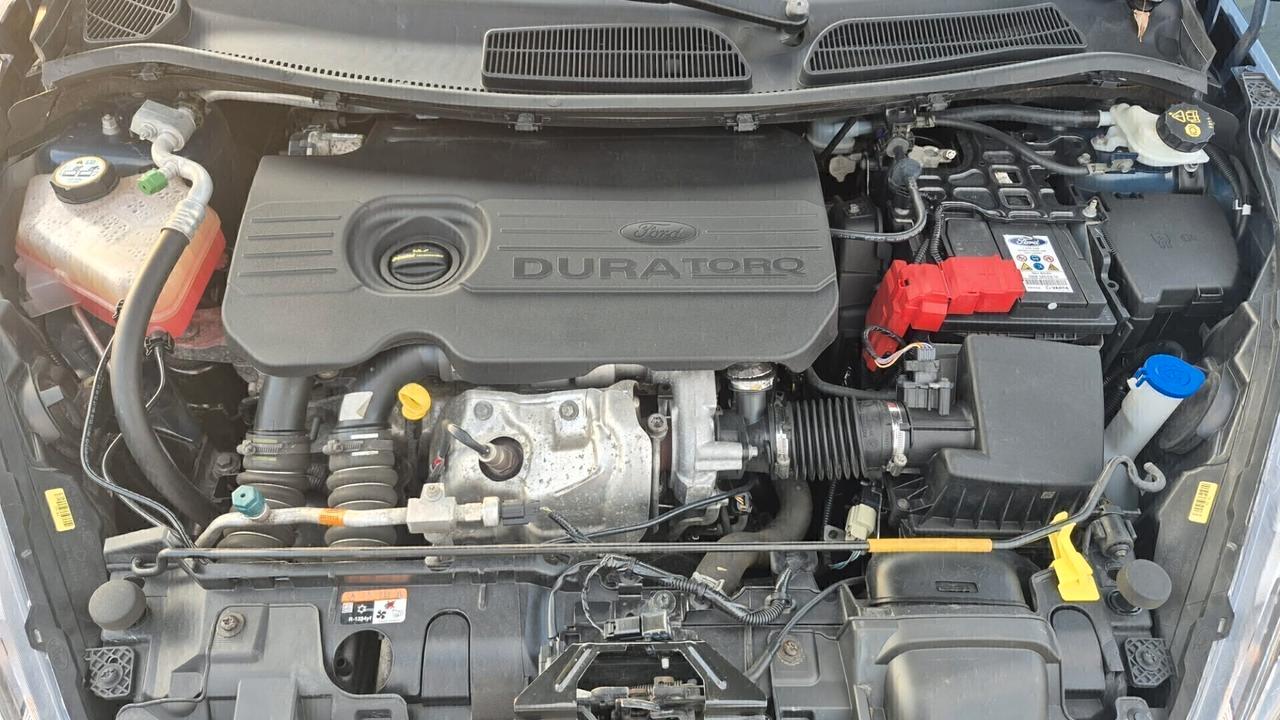 Ford Fiesta 1.5 TDCi 75CV 5 porte Titanium