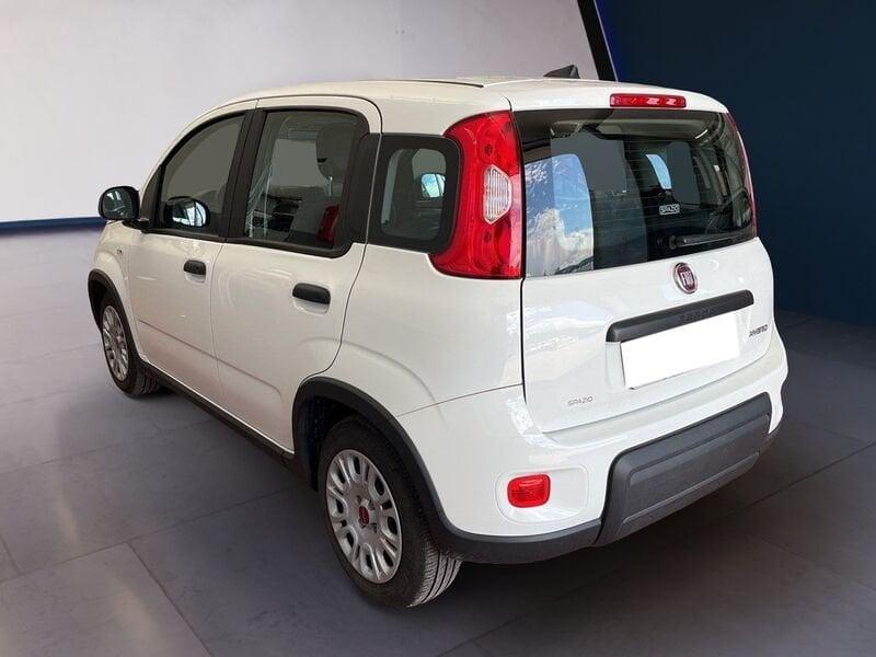 FIAT Panda My23 1.0 70cv Hybrid Panda