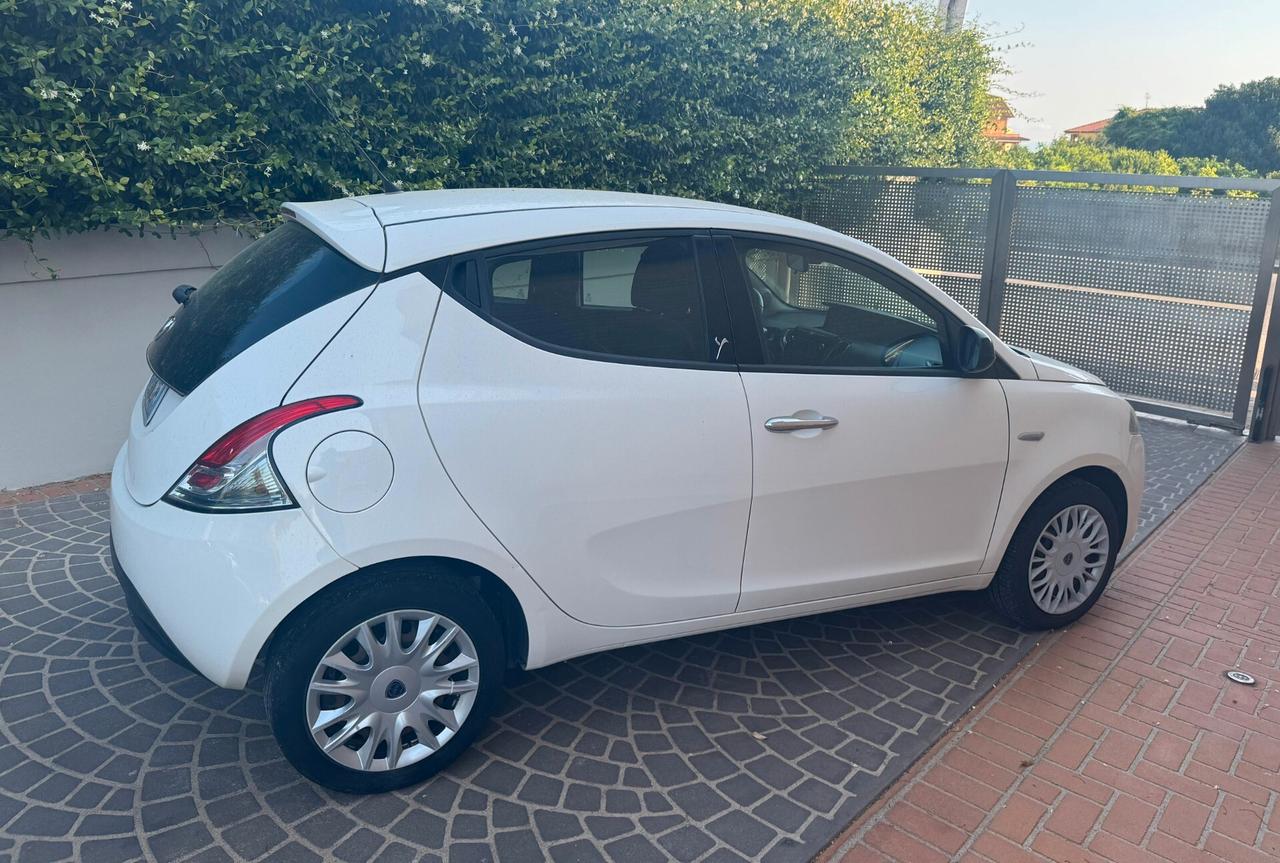 Lancia Ypsilon 1.3 MJT 16V 95 CV 5 porte S&S Gold