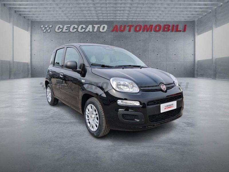 FIAT Panda Panda 1.0 firefly hybrid s&s 70cv