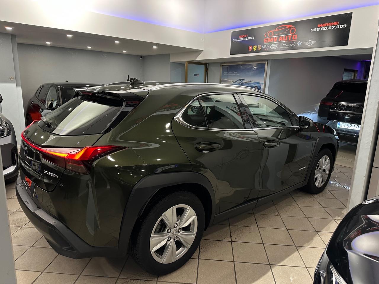 Lexus UX 250h UX 250h iva esposta