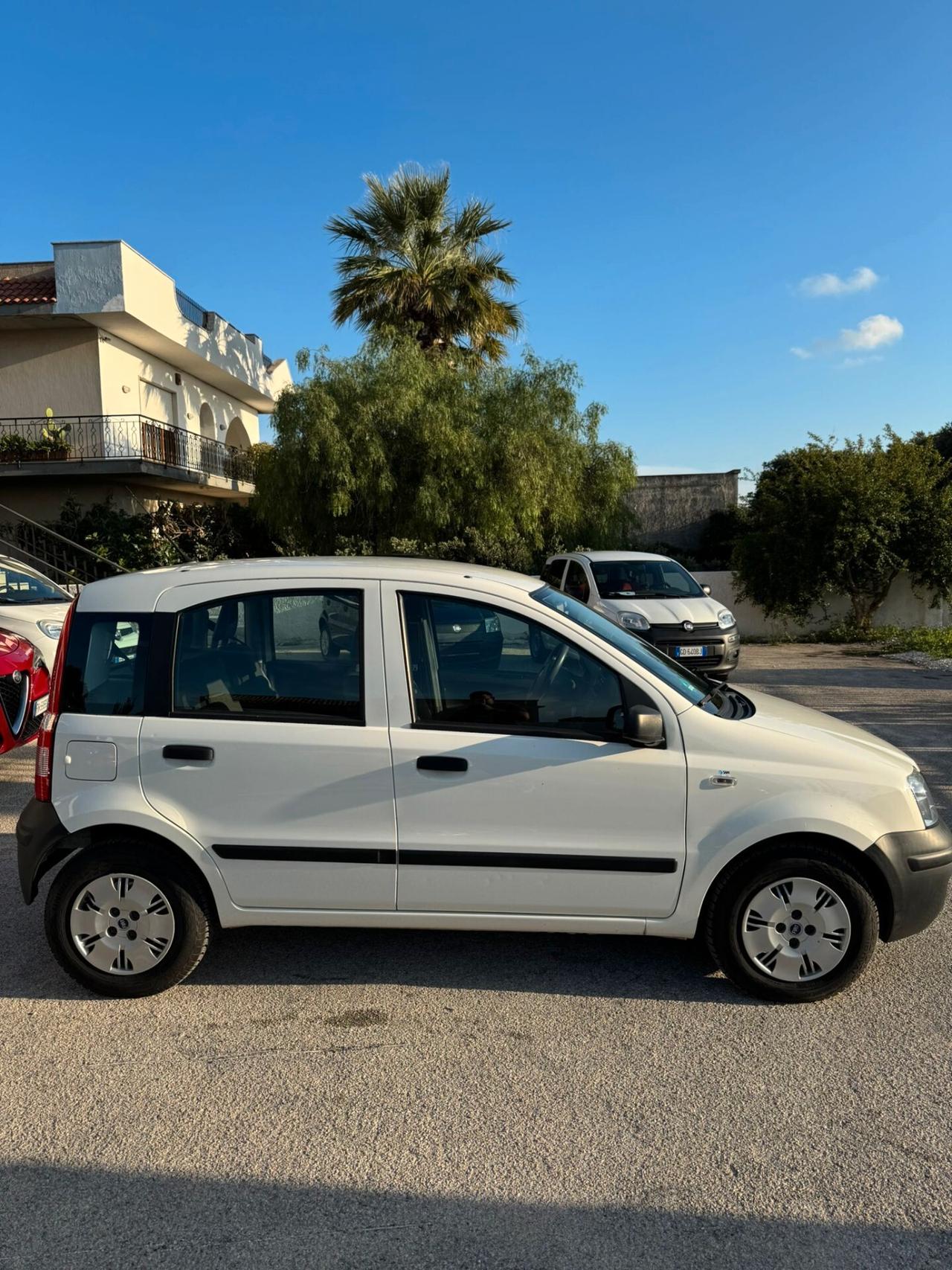 Fiat Panda 1.1 Active OK NEOPATENTATI