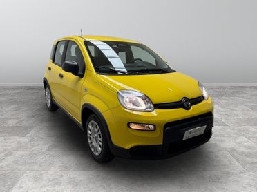 FIAT Panda III 2024 - Panda 1.0 firefly hybrid s&s 70cv
