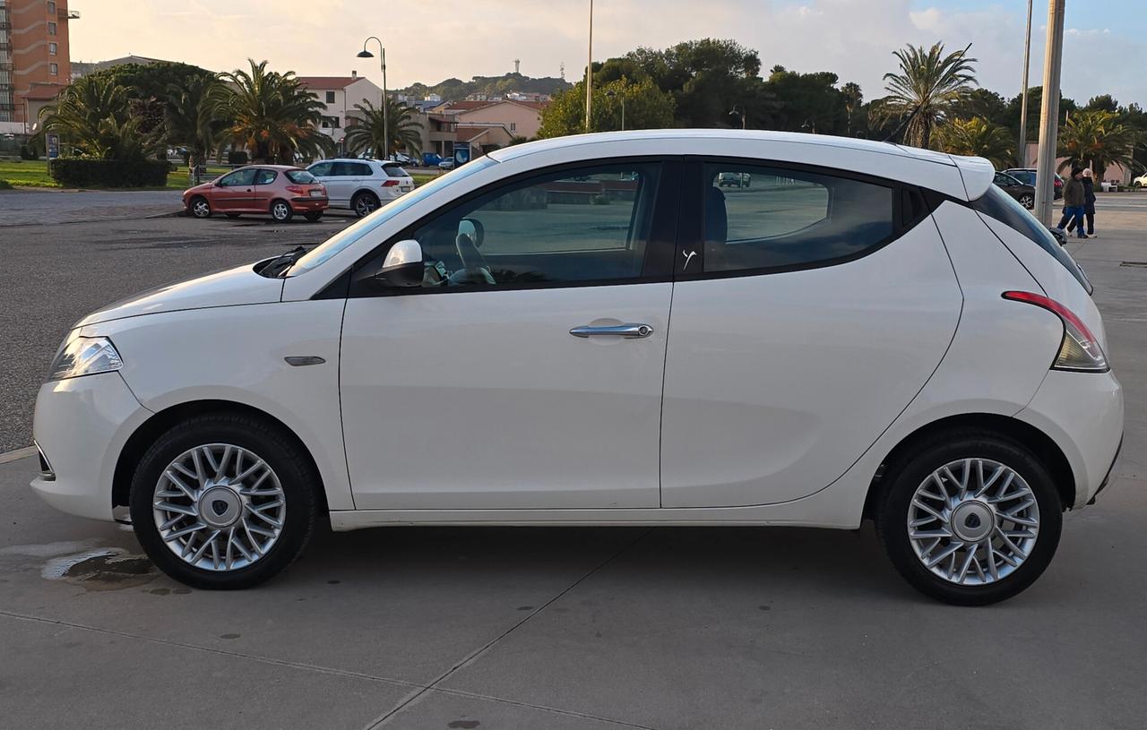 Lancia Ypsilon 1.3 MJT 16V 95 CV 5 porte S&S Platinum