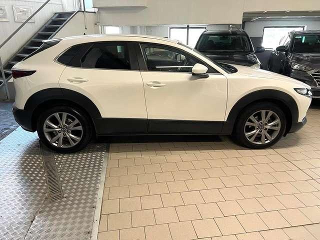 Mazda CX-30 CX-30 2.0 m-hybrid Executive 2wd 150cv Tagliandata