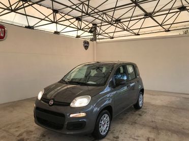 FIAT Panda III - Panda 1.2 Easy easypower Gpl 69cv my19