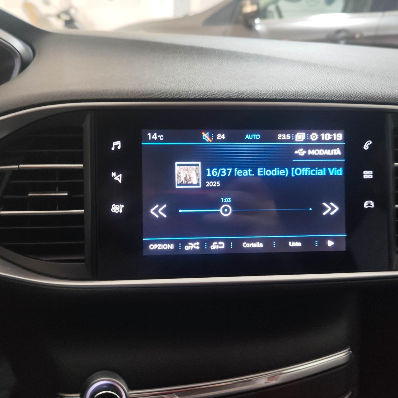 Peugeot 308 BlueHDi 100 S&S SW ACTIVE( 12 mesi di garanzia)