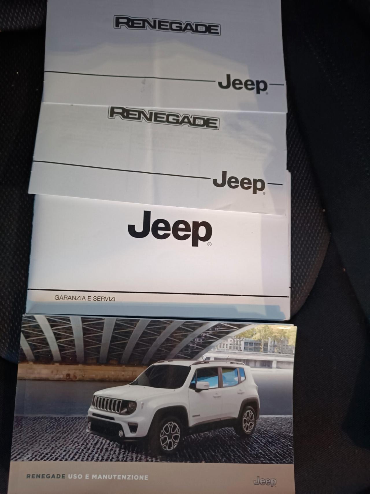 Jeep Renegade 1.6 Mjt 120 CV Longitude