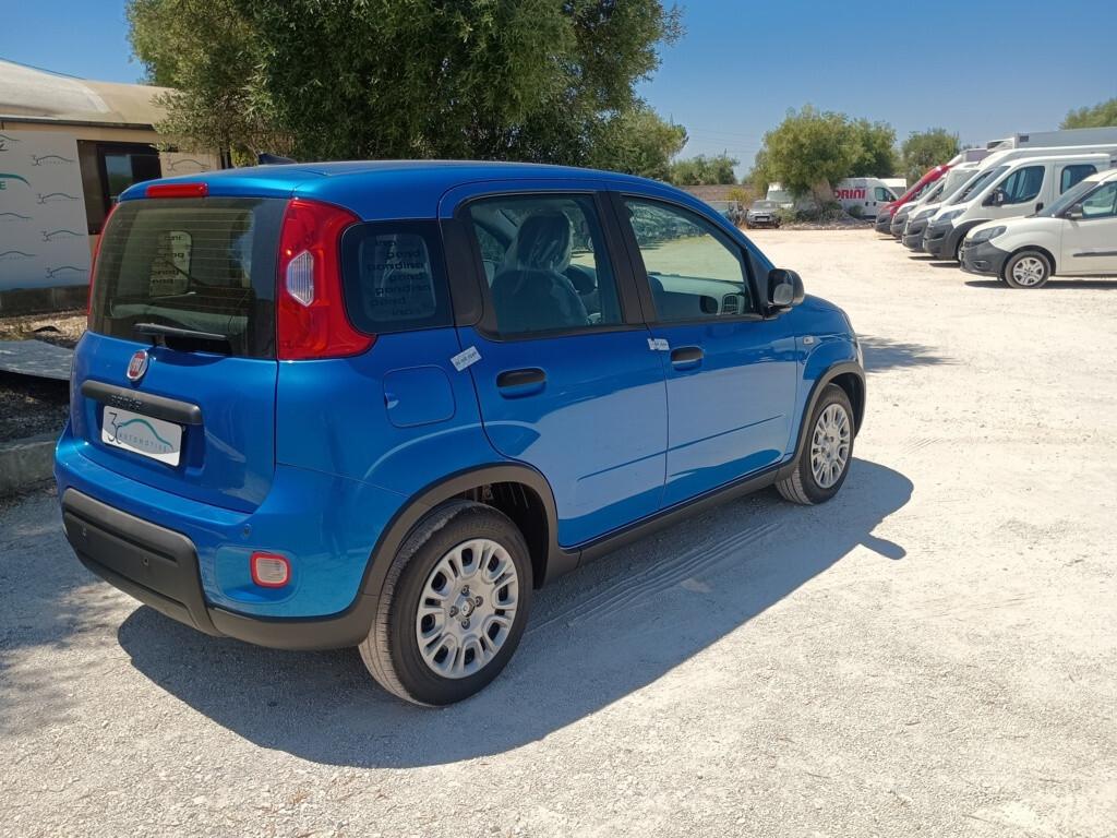 Fiat Panda 1.0 FireFly 70cv Hybrid Pandina KM0