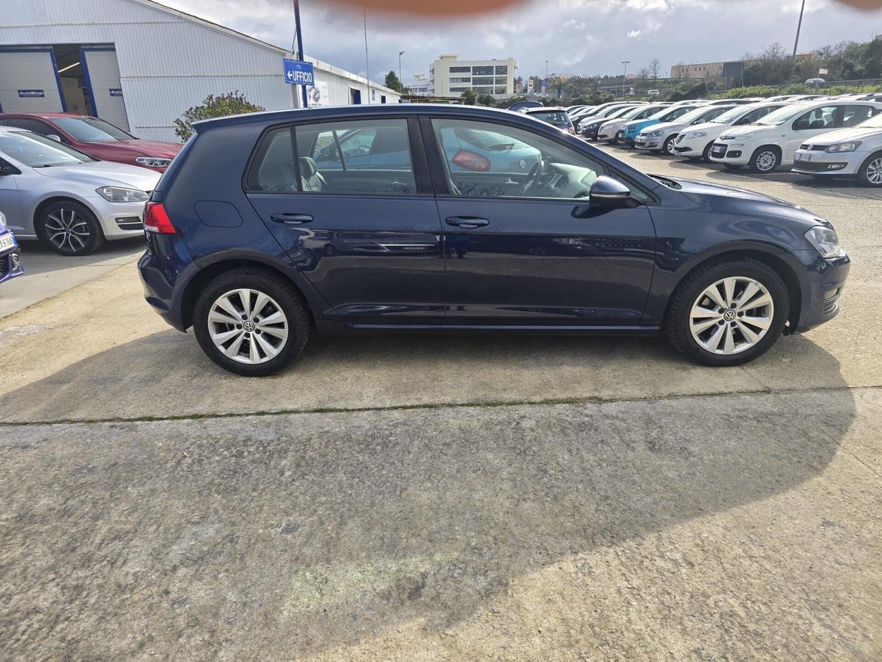 Volkswagen Golf 1.6 TDI 5p. Comfortline BlueMotion