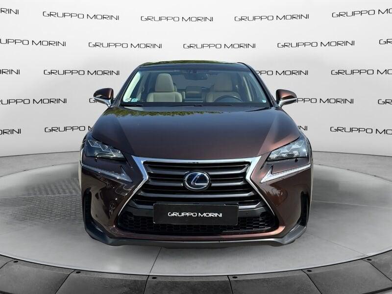 Lexus NX NX 300h 2.5 Luxury 4wd cvt