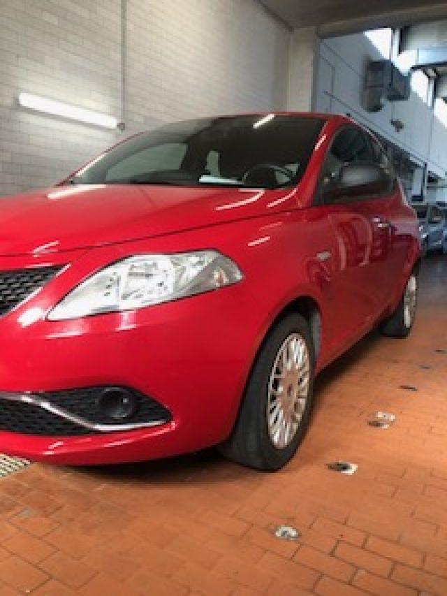 LANCIA Ypsilon 1.2 69 CV 5 porte Elefantino