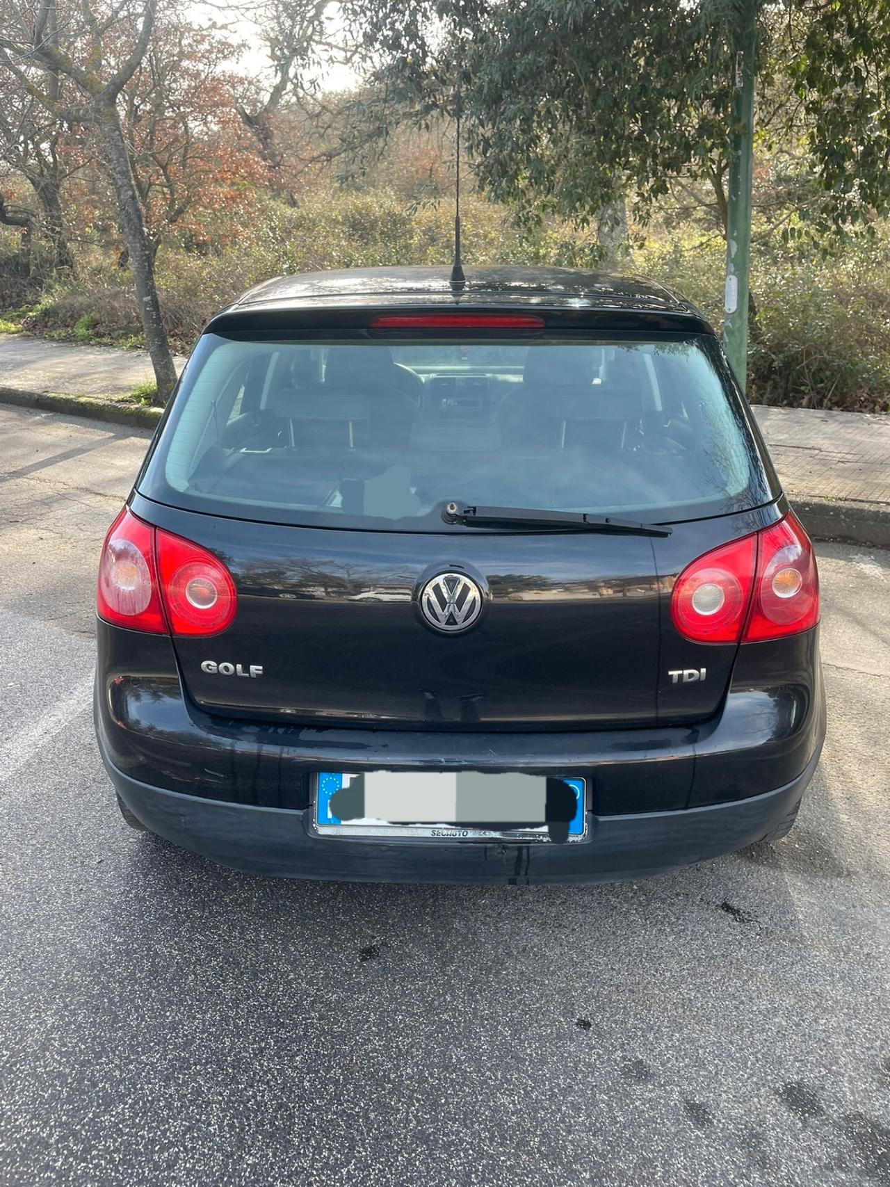 Volkswagen Golf 1.9 TDI DPF 5p 2008