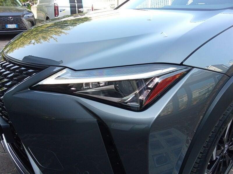 Lexus UX 250 Hybrid Premium 2WD