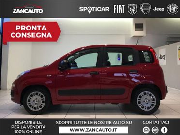 FIAT Panda Panda 1.0 FireFly S&S Hybrid Pop 65cv MY26