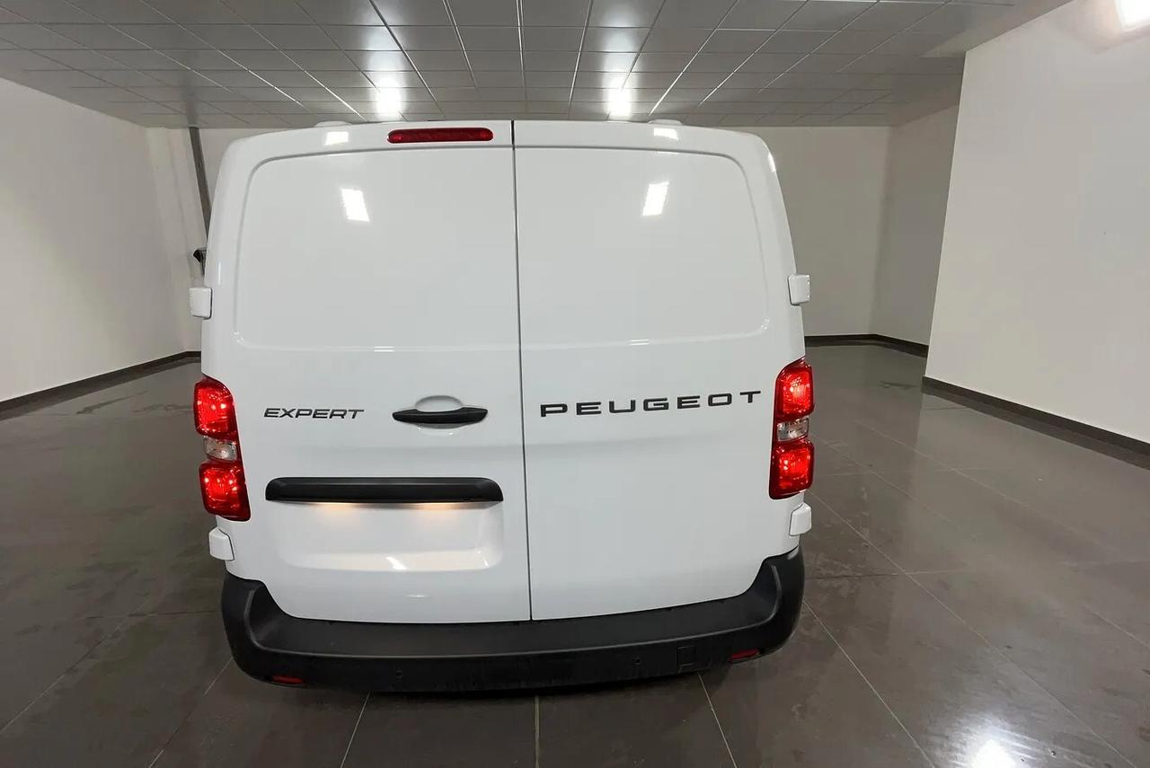 Peugeot Expert 1.5 BlueHDi 120 S&S PL-TN Furgone Standard