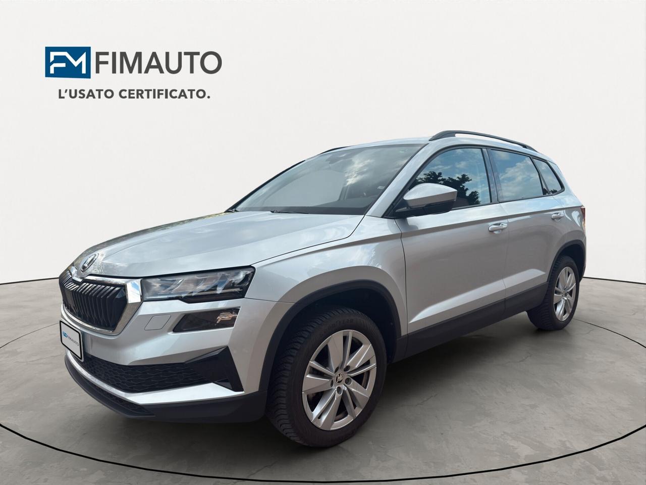Skoda Karoq 2.0 TDI 115 CV Executive - 2024