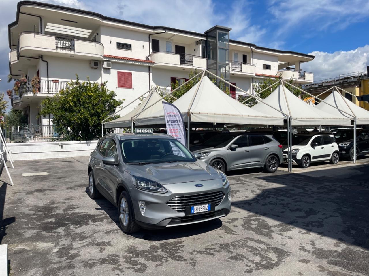 Ford Kuga 1.5 EcoBlue 120 CV aut. 2WD Titanium Business