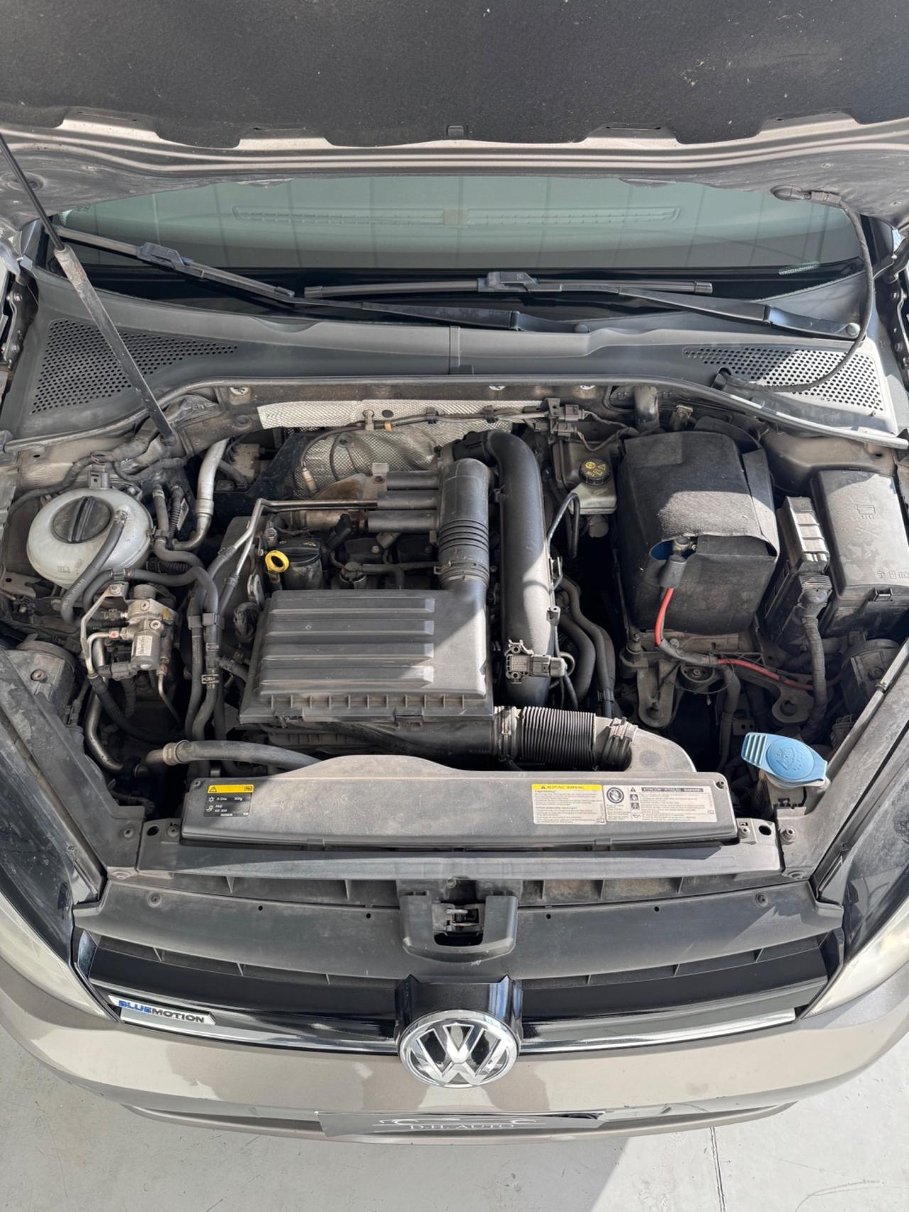 Volkswagen Golf 1.4 TGI 5p. Highline BlueMotion