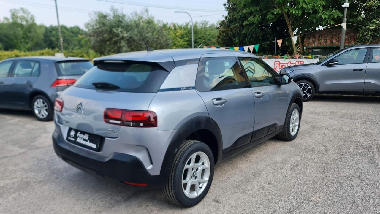 Citroen C4 Cactus BlueHDi 100 S&S