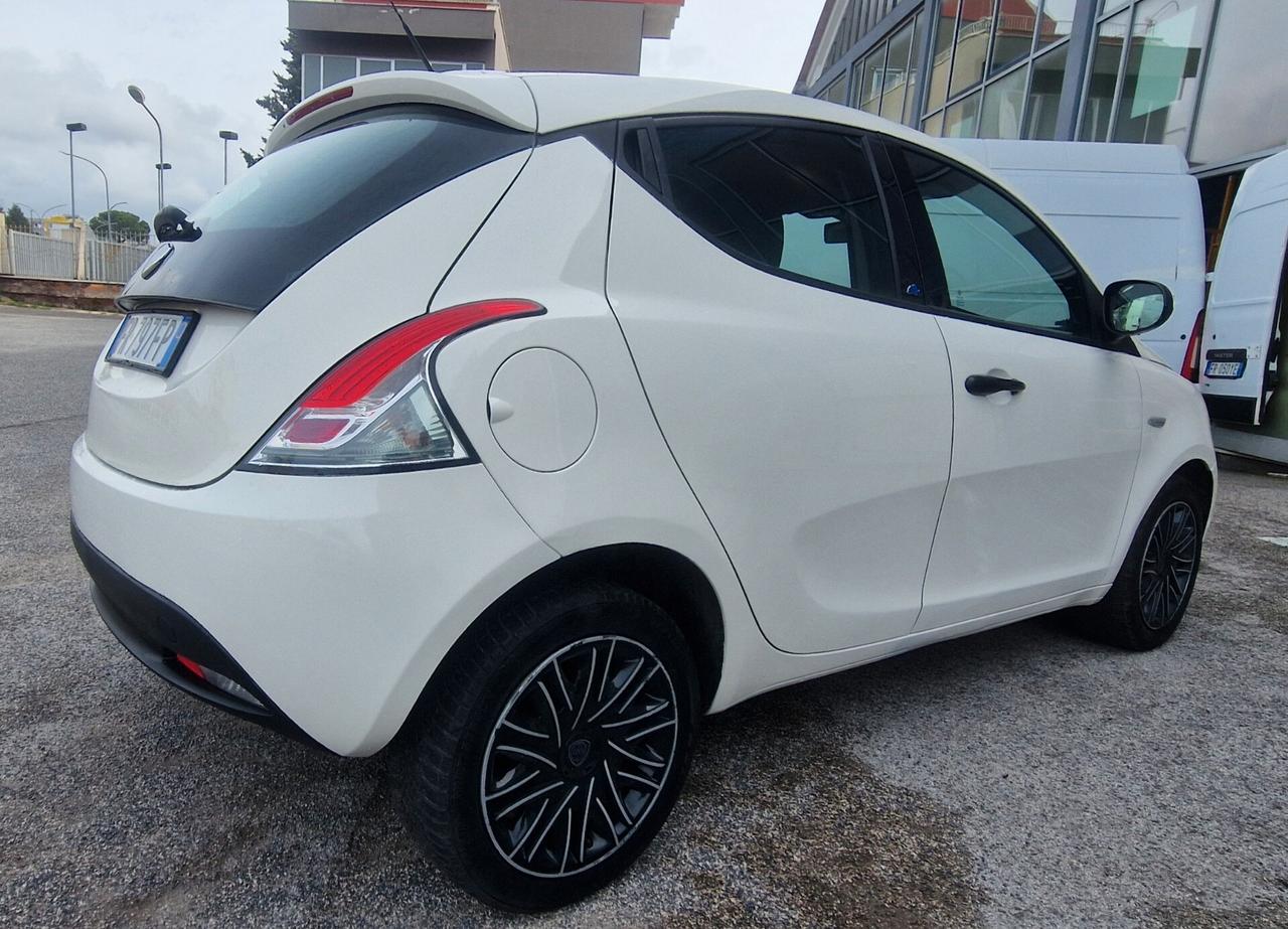 Lancia Ypsilon 1.2 69 CV 5 porte GPL Ecochic Platinum