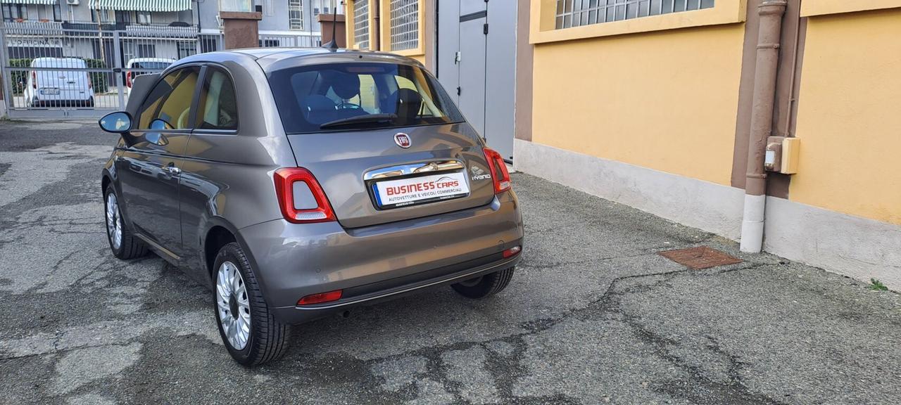Fiat 500 1.0 70 Hybrid Cult KM. 17.000 CERTIFICATI - UNICO PROPRIETARIO - AUTO PER NEOPATENTATI!