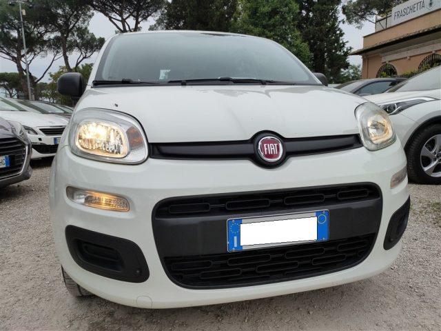 FIAT Panda 1.2 Easy CLIMATIZZATORE OK NEOPATENTATI