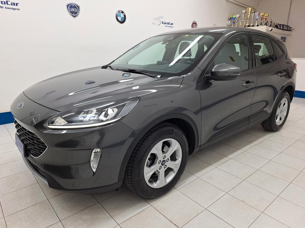 Ford Kuga Connect 1.5 EcoBlue 120cv 2WD