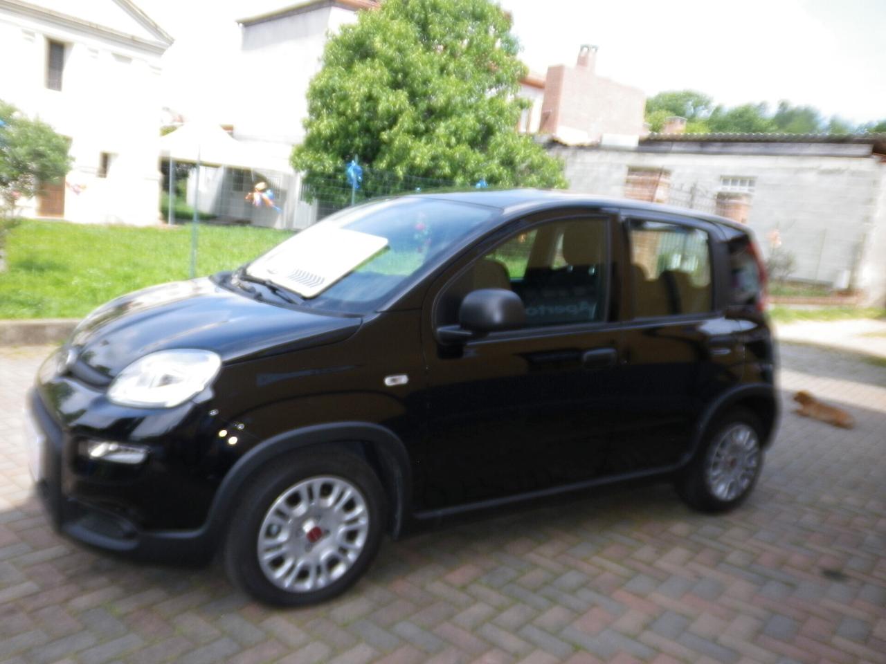 Fiat Panda 1.0 FireFly S&S Hybrid City Life - COME NUOVA KM 1.300