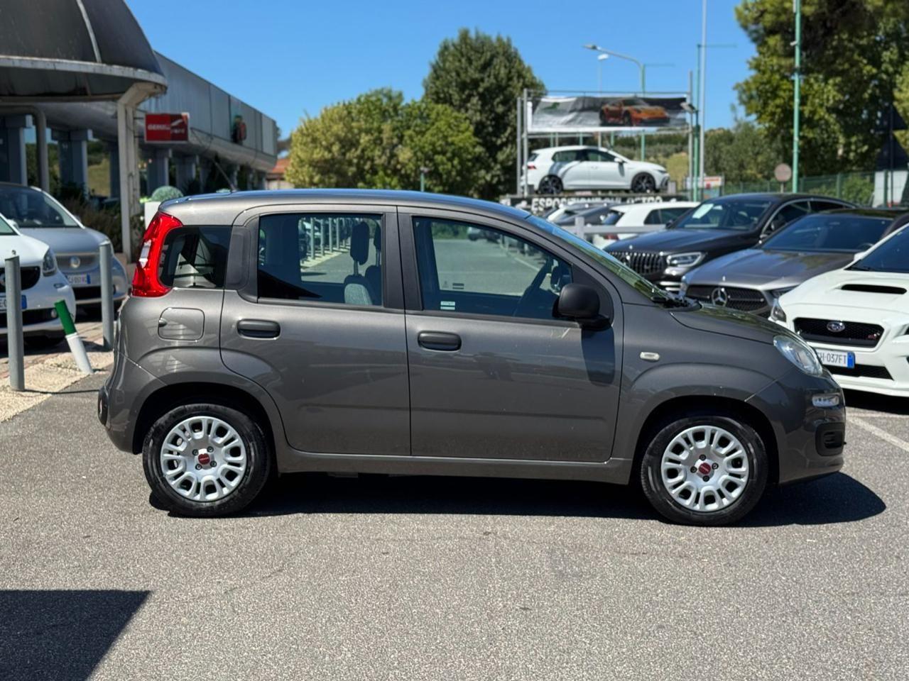 FIAT Panda 1.0 FireFly S&S Hybrid Sensori Parcheggio